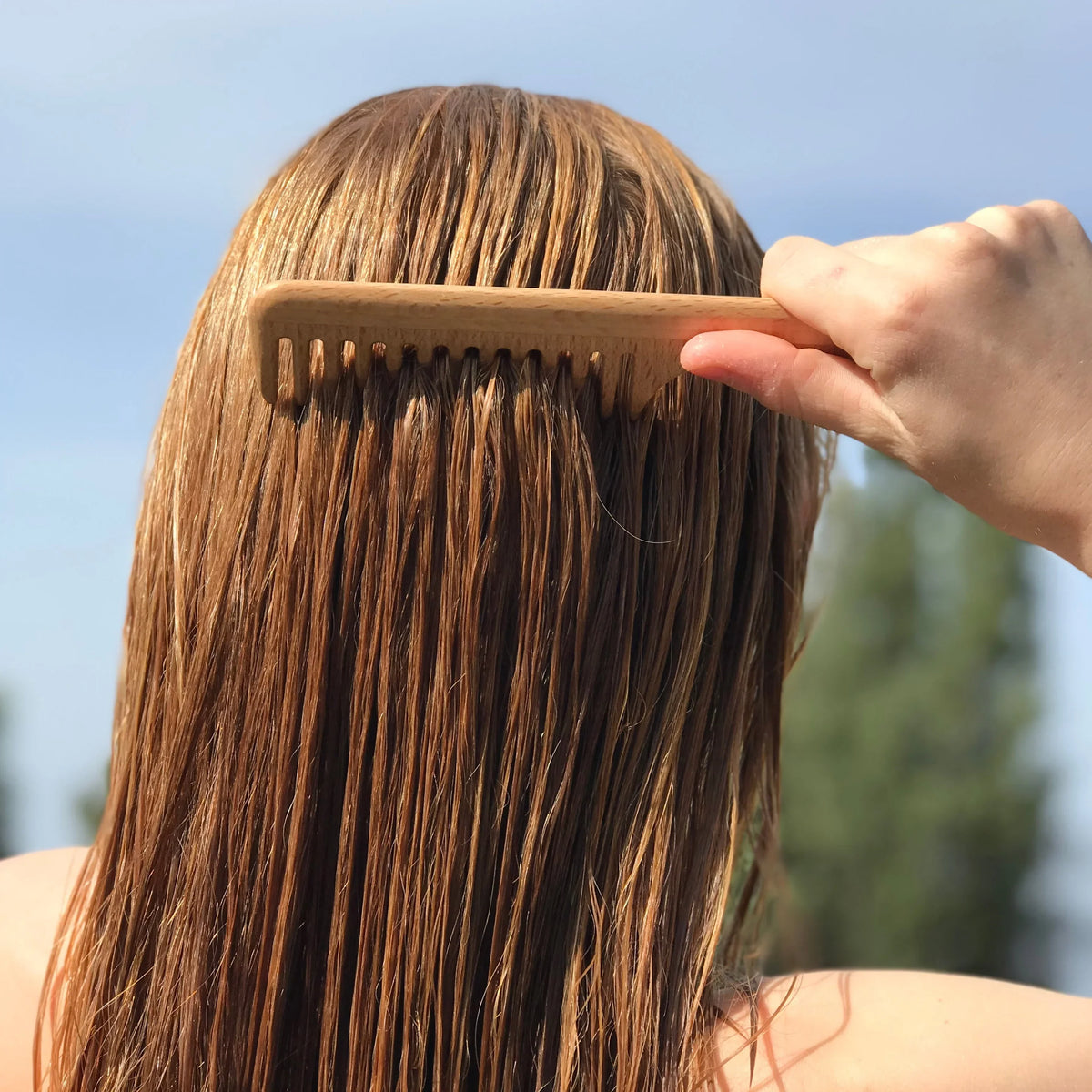 peigne en bois démêle les cheveux