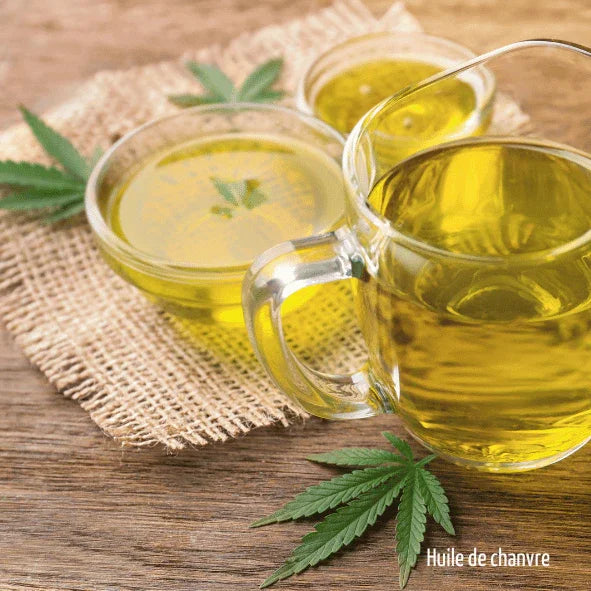 huile de chanvre
