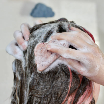 utilisation shampoing loo